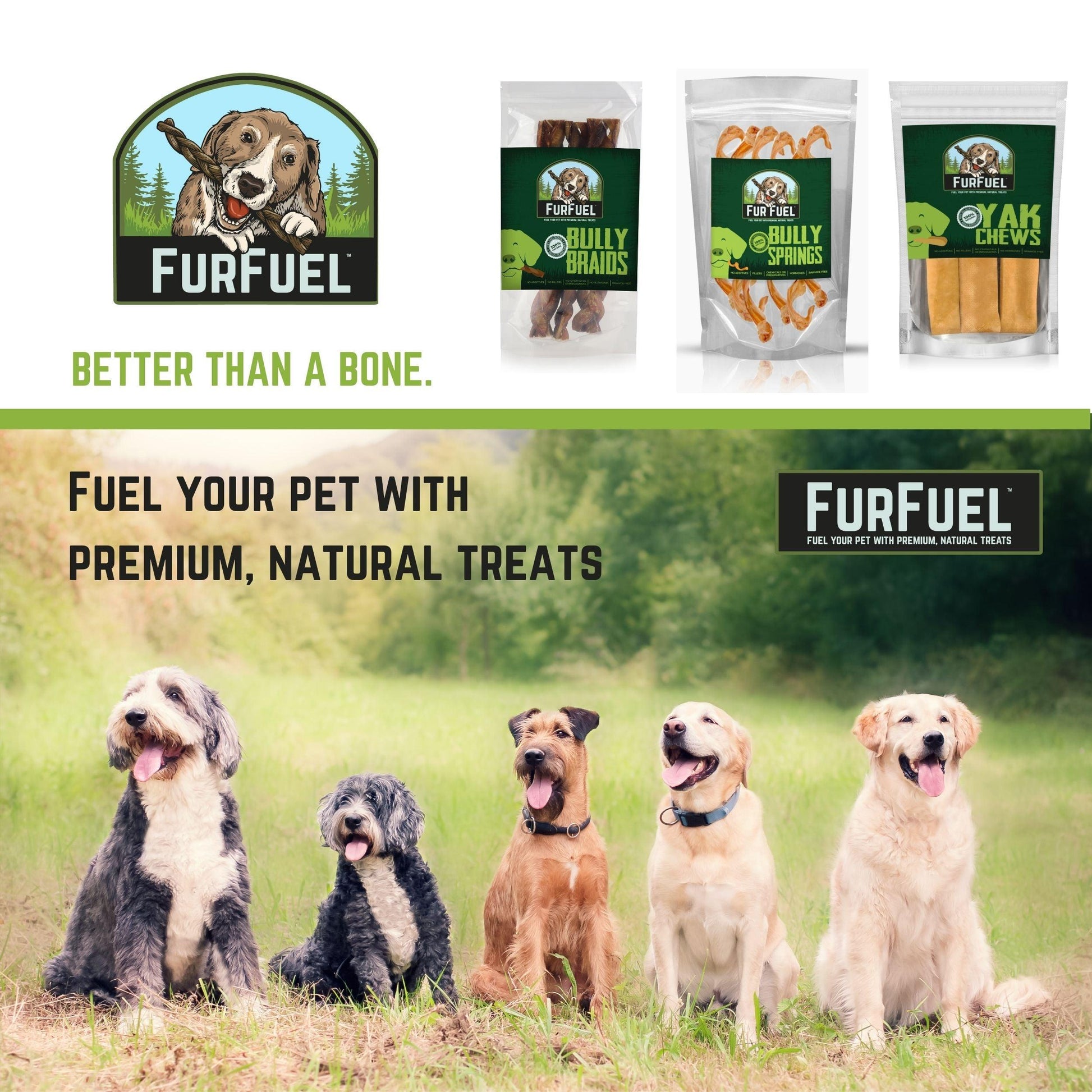 FurFuel Braided Bully Sticks, 6" Medium Braids for Dogs 30-70 lbs. - FurFuel