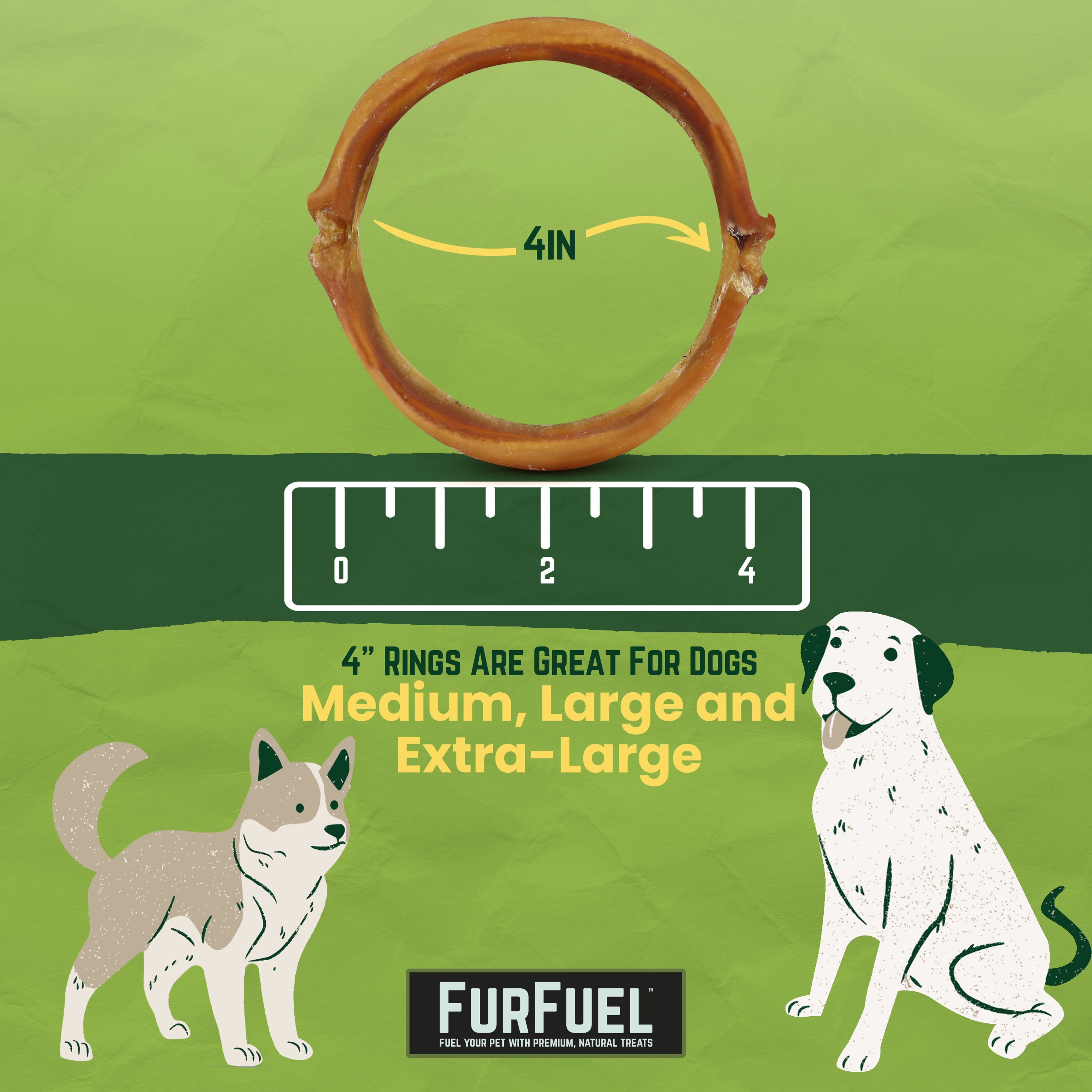 Dog rings outlet for dogs