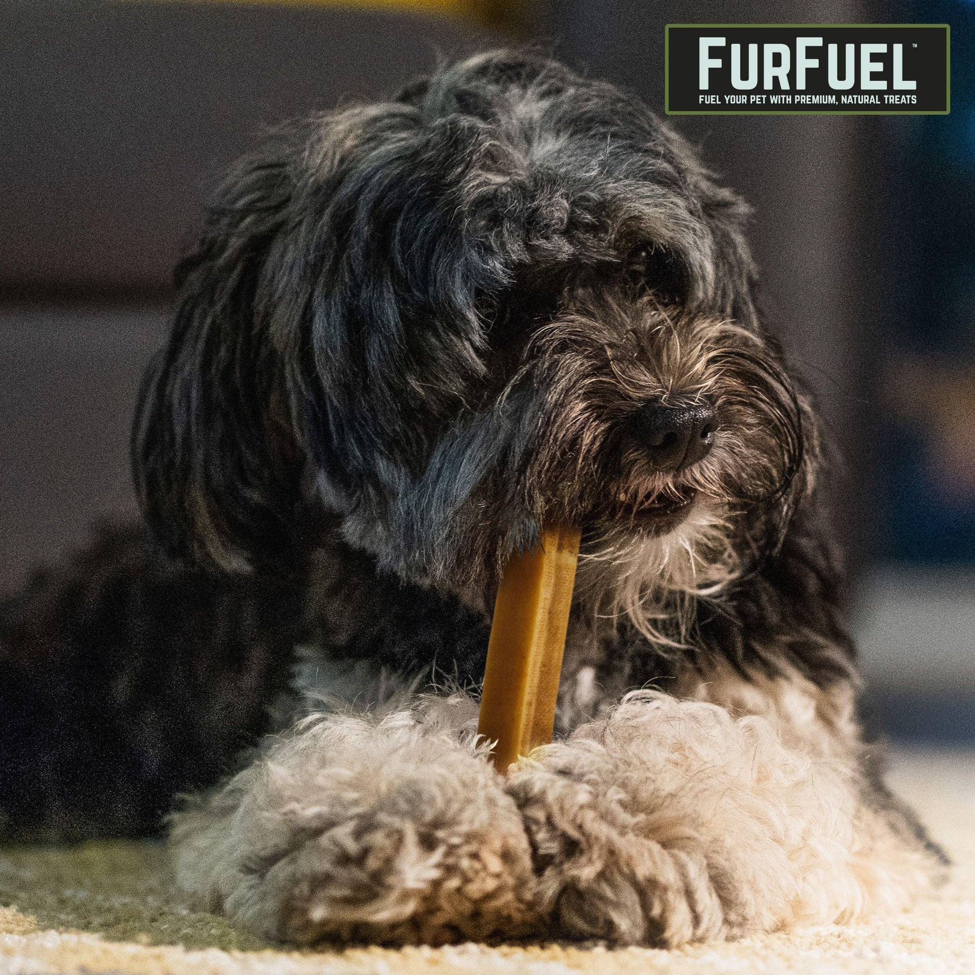 FurFuel Himalayan Dog Chews | Yak Cheese Dog Chews - FurFuel