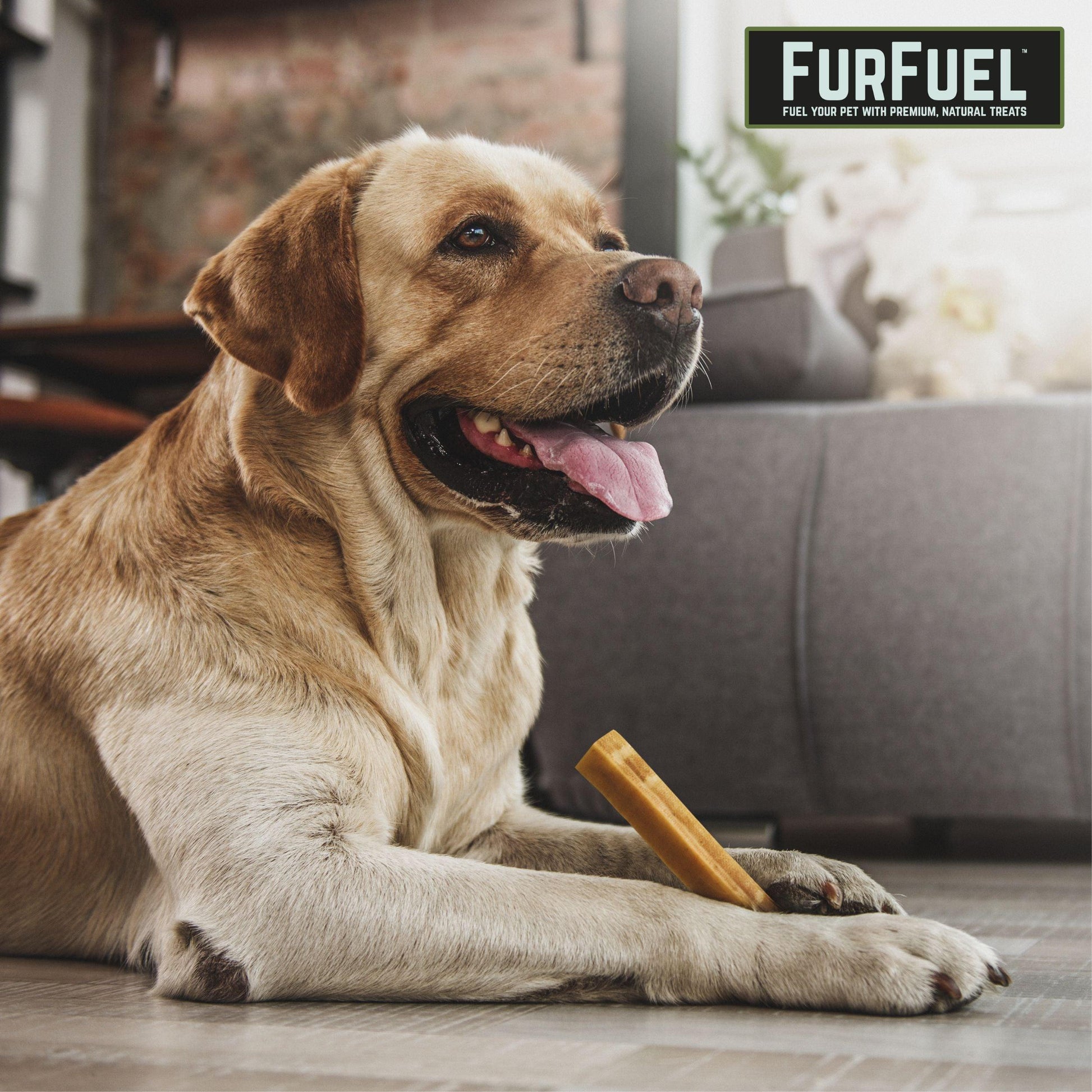 FurFuel Himalayan Dog Chews | Yak Cheese Dog Chews - FurFuel