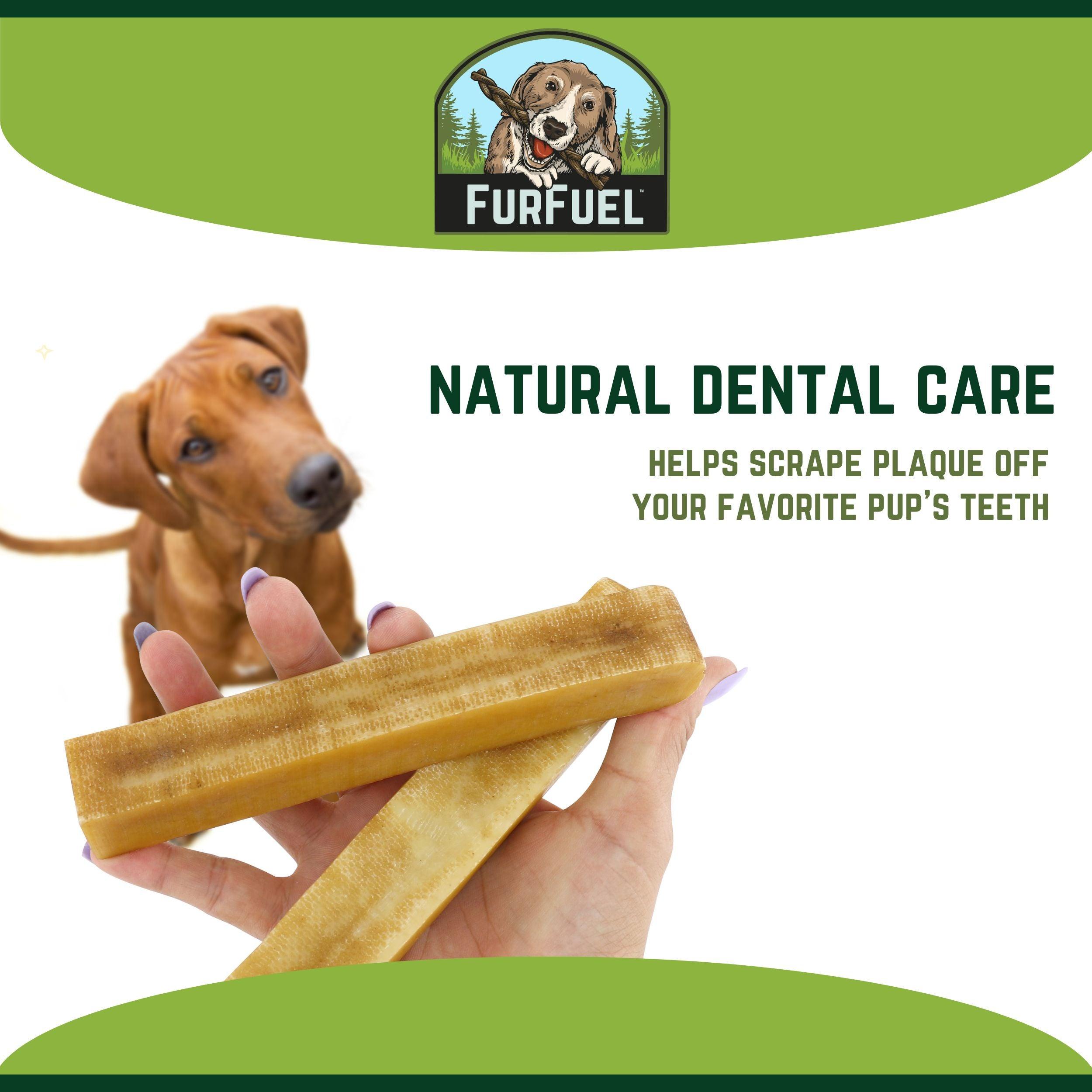 Himalayan dog chew hotsell safe for teeth